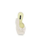 White Lamb Ovis Aries Aries Mules