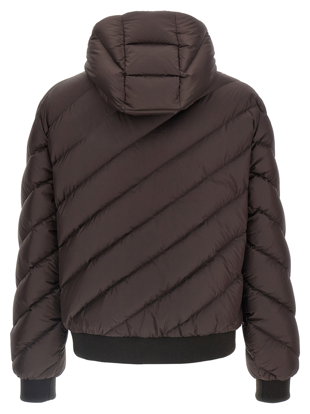 Multicolor Polyester Shell Jacket