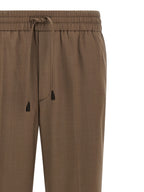 Brown Wool Casual Pants