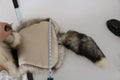 Brown Fox Tail Fur Shawl Neck Wrap Cover Collar Scarf